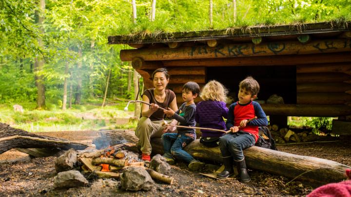 Mikroer på sheltertur